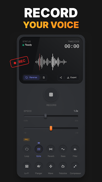 Reverse Audio PRO product preview 1