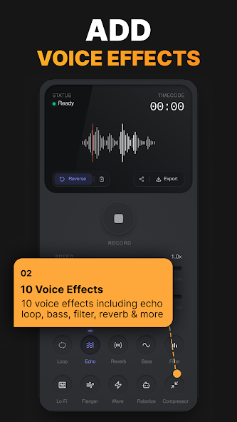 Reverse Audio PRO product preview 3