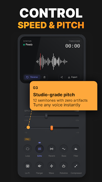 Reverse Audio PRO product preview 4