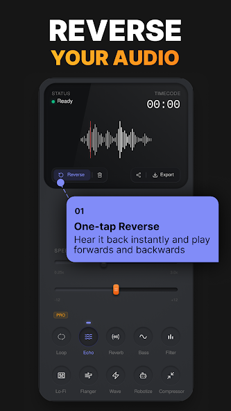 Reverse Audio PRO product preview 2